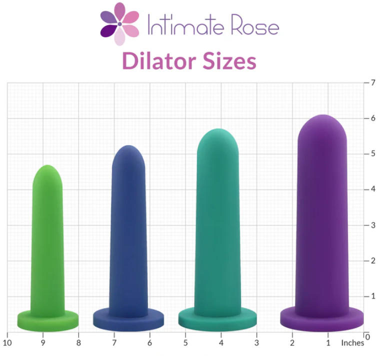 Intimate Rose Large Dialator Set (Pack of 4- Sizes 5-8)
